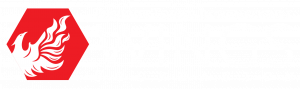 pti wings foundation blanco